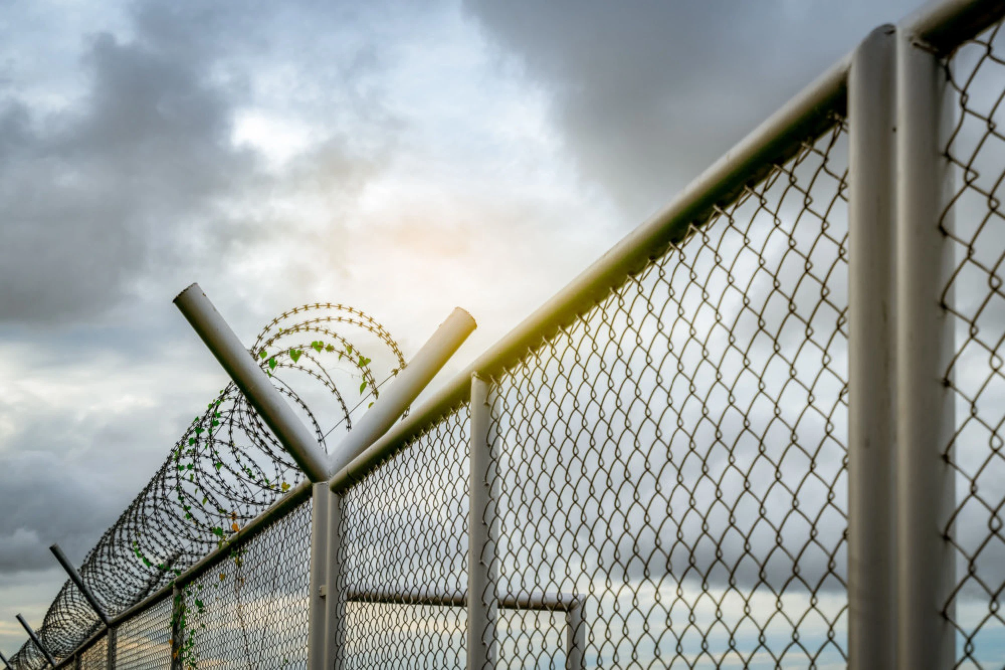 A border security fence with razor wire